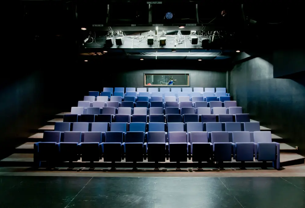 Théâtre du Nord. Petite salle : Capacité de 88 places.  Configuration en gradins.  Salle entièrement équipe pour diffusion son, lumière et vidéo.  Sa situation garantit une intimité optimale pour l’organisation de votre événement.  Située au sous-sol, elle communique directement avec l’espace bar privatif et un grand foyer pouvant accueillir du public.