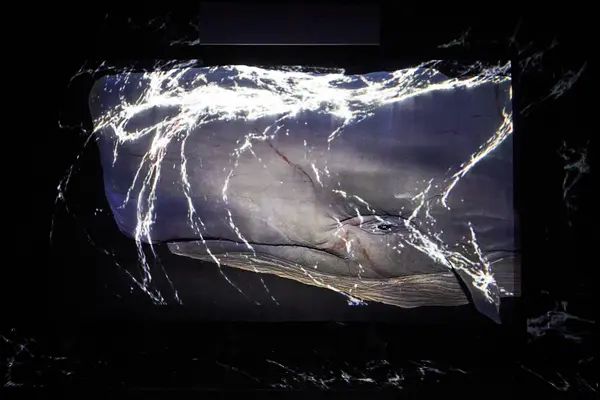 Moby Dick