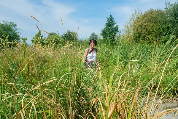 L’Appel de la forêt 