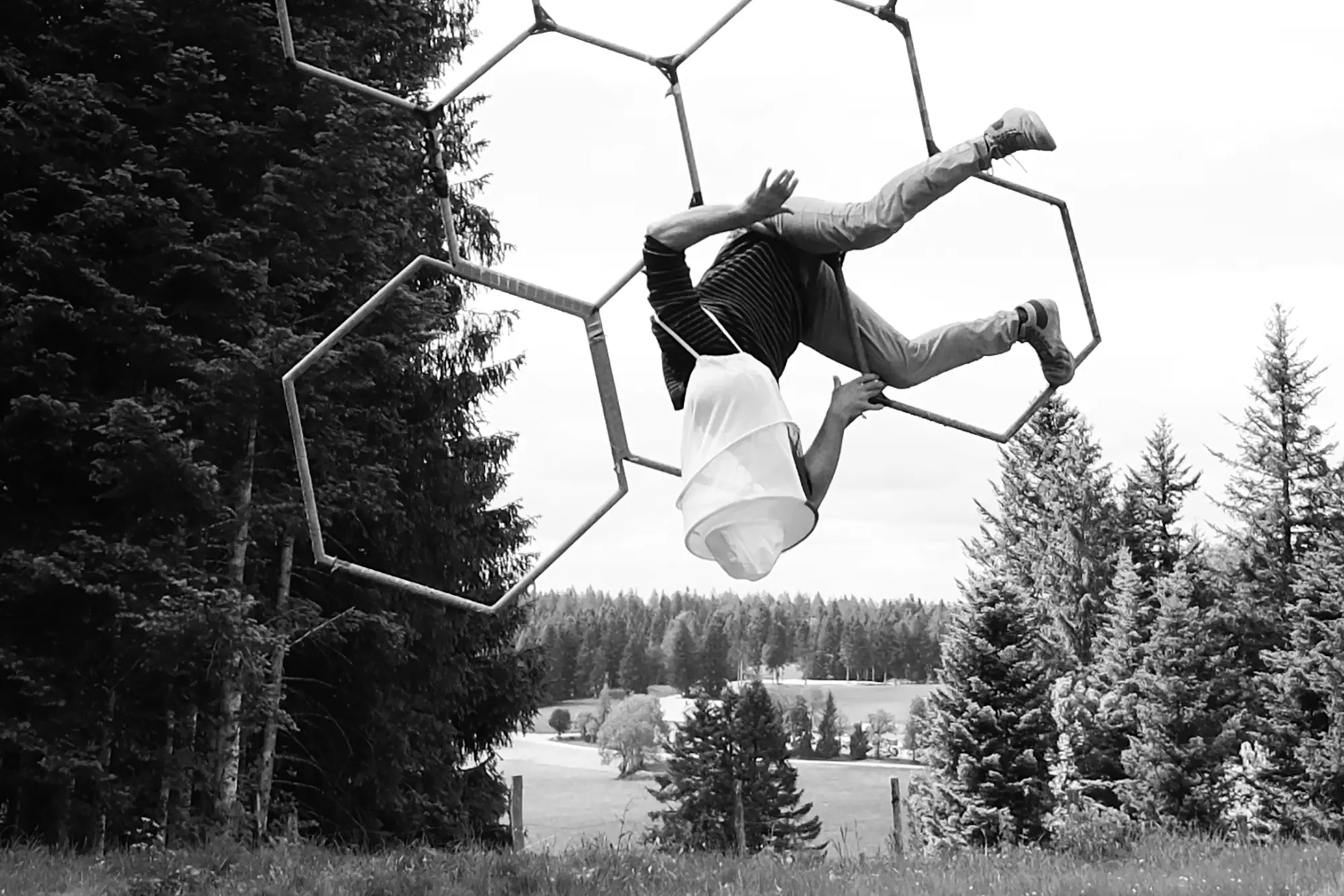 Födosökande bi (alive)