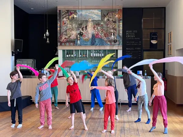 STAGE DE CIRQUE