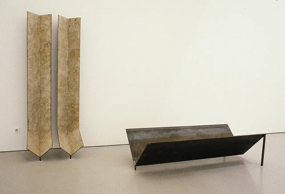 2 x (216 x 35 x 65), 190 x 83 x 48 de Miroslaw Balka