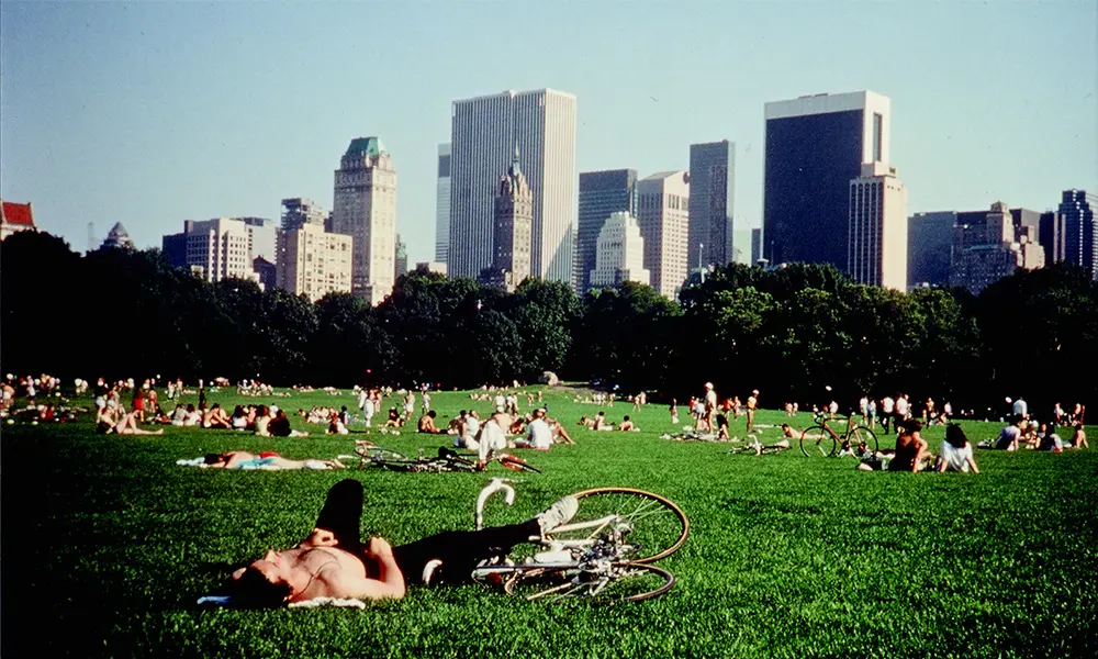 CENTRAL PARK