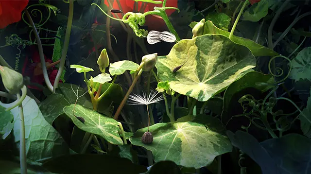 PLANÈTES