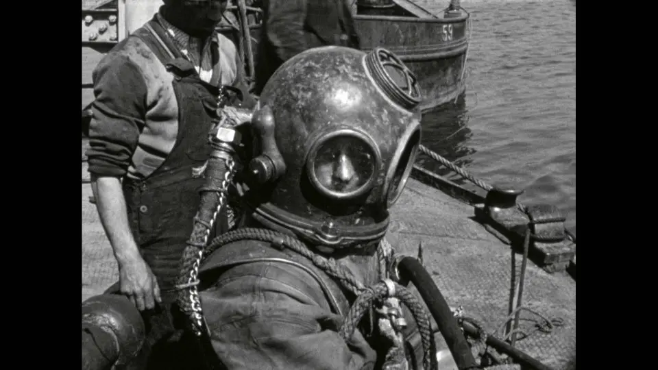ENTRE DEUX EAUX : DES ABYSSES À LA SURFACE 