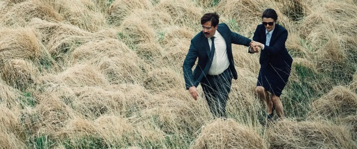 THE LOBSTER