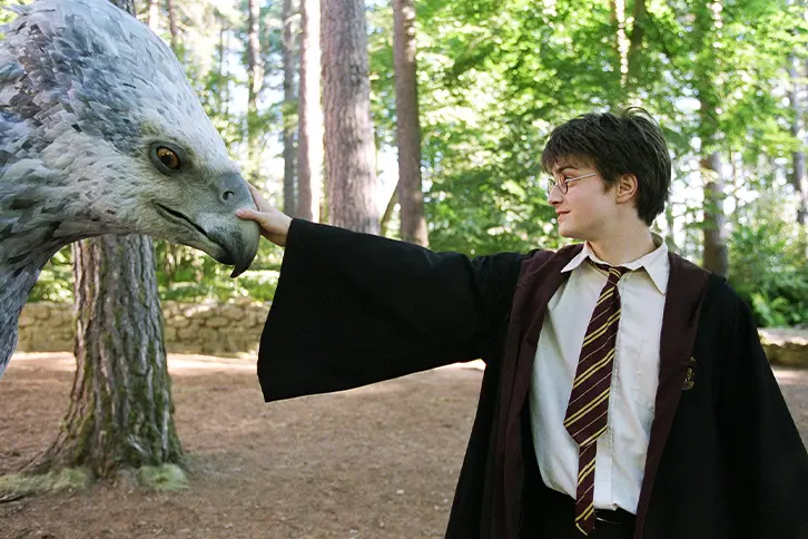 HARRY POTTER ET LE PRISONNIER D'AZKABAN