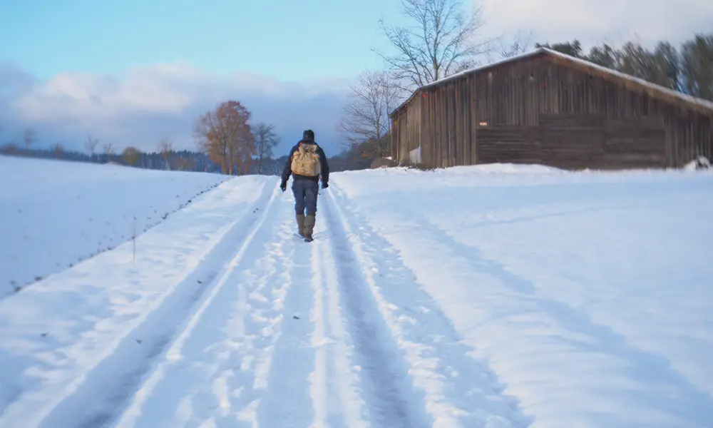Sur le chemin des glaces