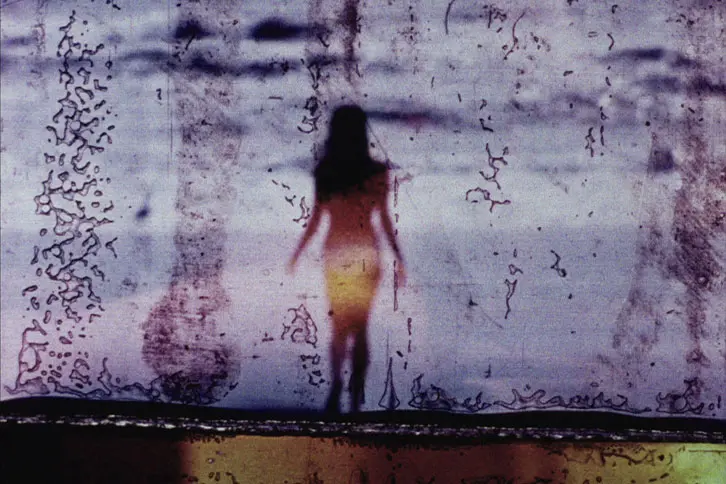 STAN BRAKHAGE ET CAROLEE SCHNEEMANN : PORTRAIT DE L'ARTISTE EN CHIEN ET CHAT — CINÉMA EXPÉRIMENTAL + RENCONTRE