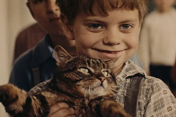UN JOUR, UN CHAT