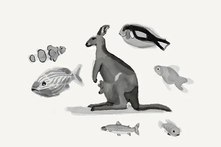 Le Carnaval des animaux, Albin de la Simone et Valérie Mréjen