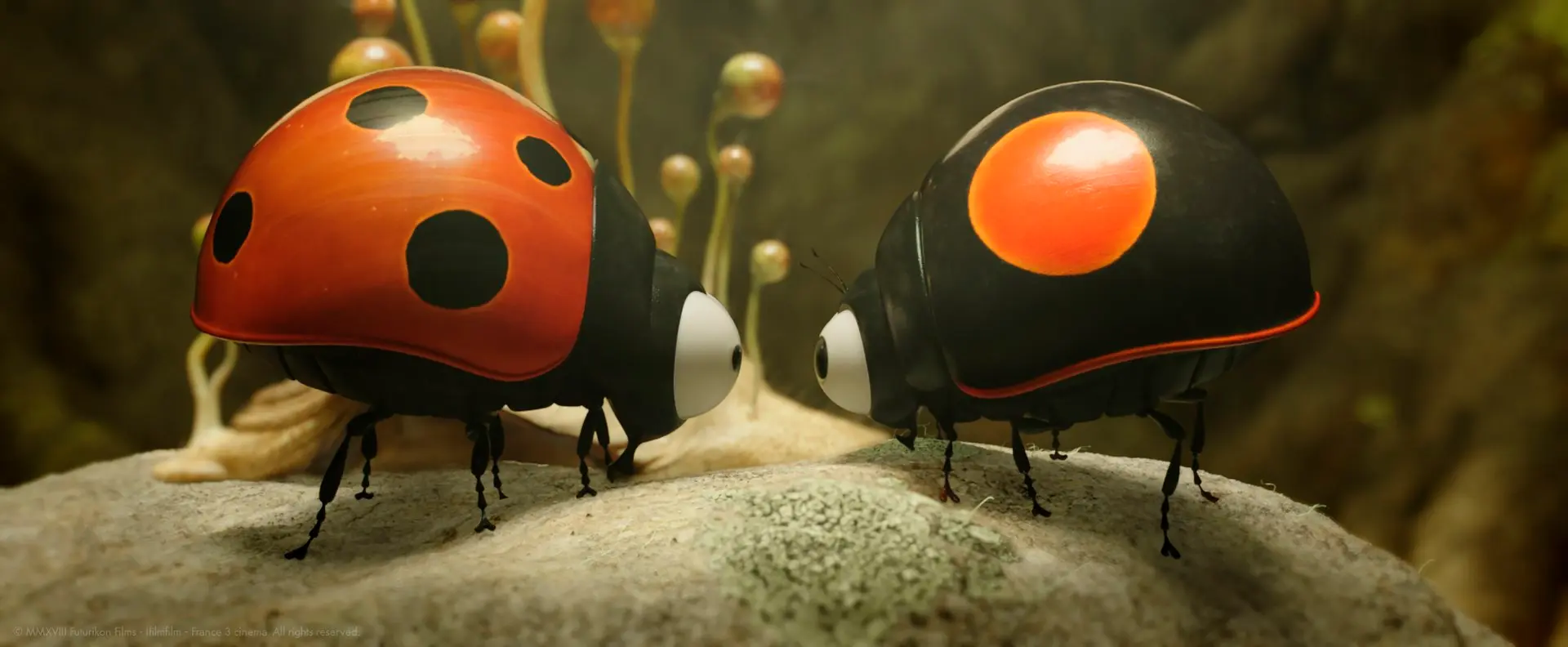 Minuscules 2 : les mandibules du bout du monde