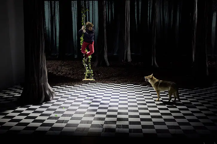 Le Bruit des loups, Étienne Saglio