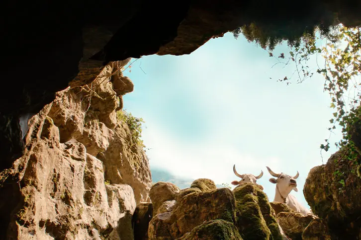 IL BUCO