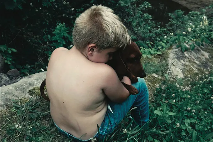 THE LAST HILLBILLY
