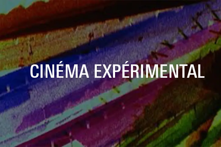 TOUT A PEUT-ÊTRE COMMENCÉ PAR LA BEAUTÉ — CINÉMA EXPÉRIMENTAL
