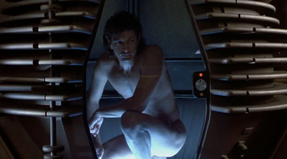 LA MOUCHE (THE FLY)
