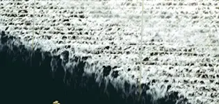 BLACK VILLAGE