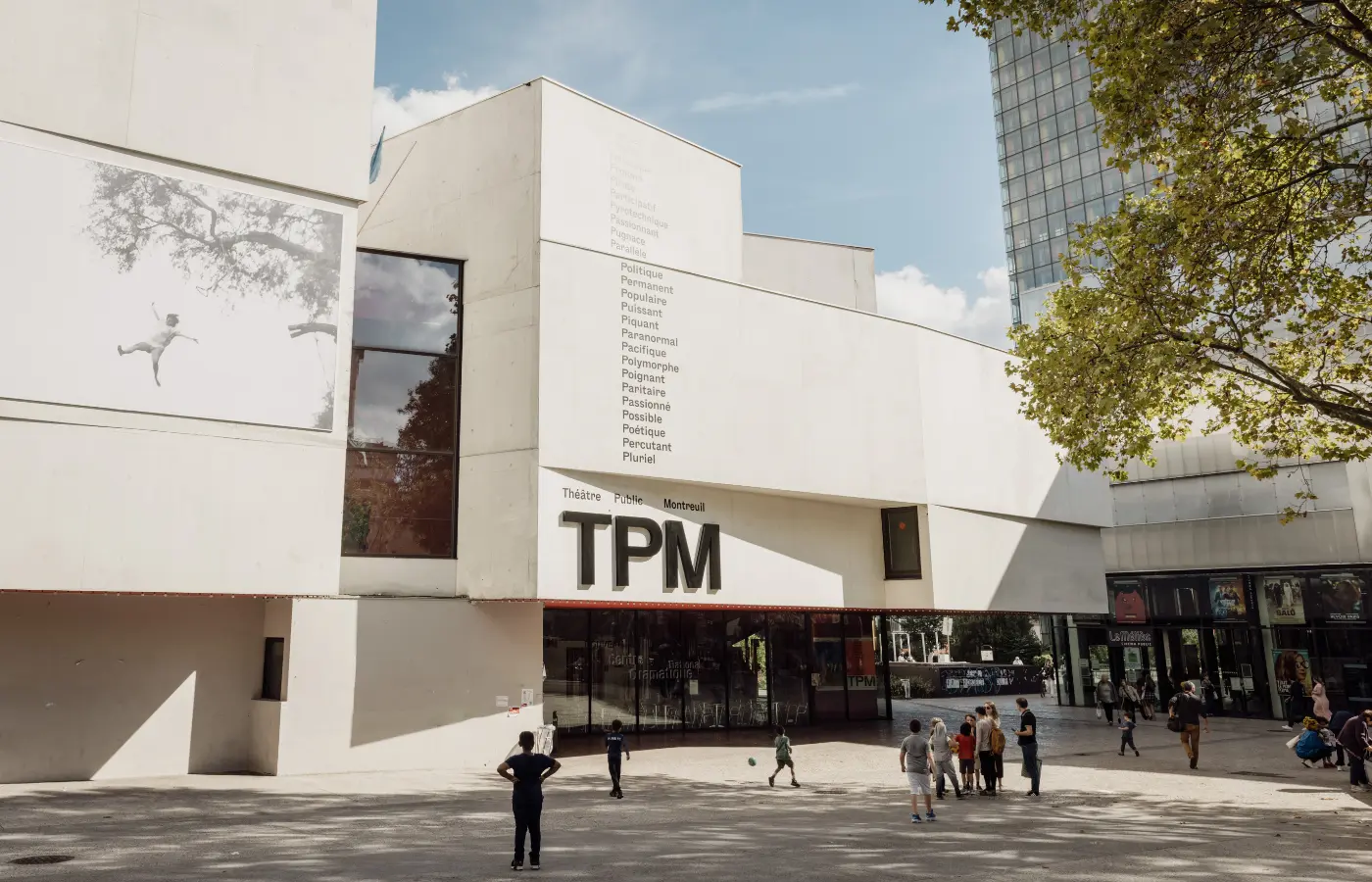The project of the TPM