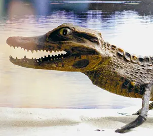 CROCODILES